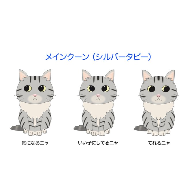 猫のステッカー メインクーン シルバータビー 犬 猫 イラストデザインステッカー Argent Minne 国内最大級のハンドメイド 手作り通販サイト