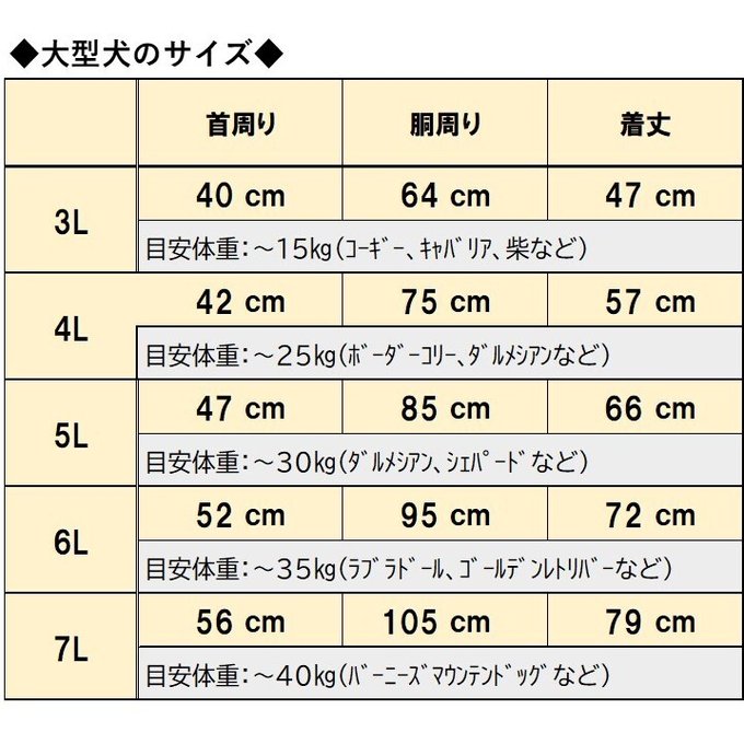 作品画像15枚目