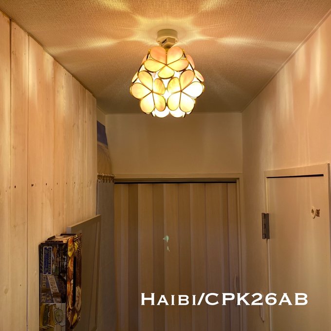 照明 シーリングライト Haibi/CPK 天井 ライト E26 インテリア 照明 シーリングライト Haibi/CPK 天井 ライト E26 インテリア
