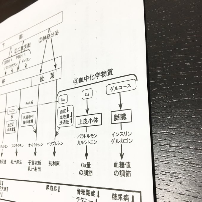 作品画像3枚目