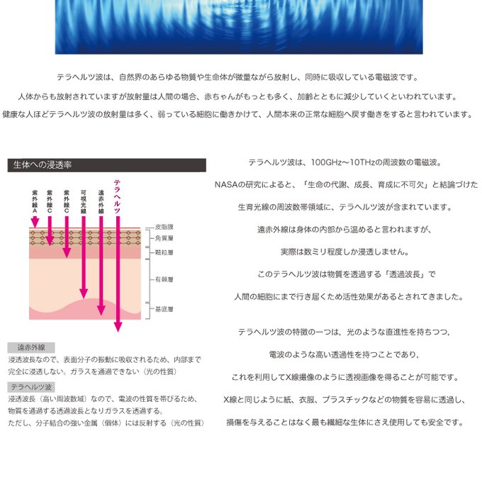 作品画像9枚目