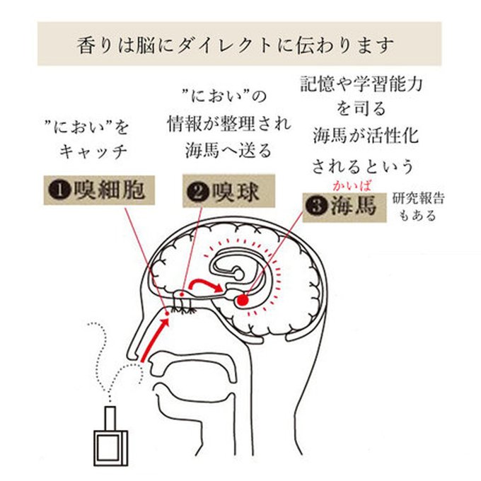 作品画像10枚目