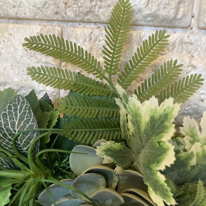 光触媒 人工観葉植物 ウォールグリーン フェイクグリーン 壁掛け 光触媒 人工観葉植物 ウォールグリーン フェイクグリーン 壁掛け