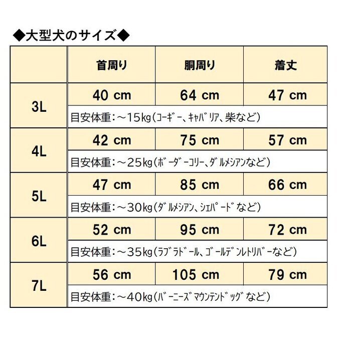 作品画像17枚目