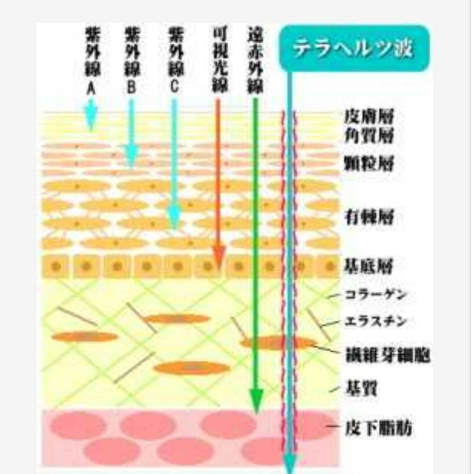 作品画像2枚目