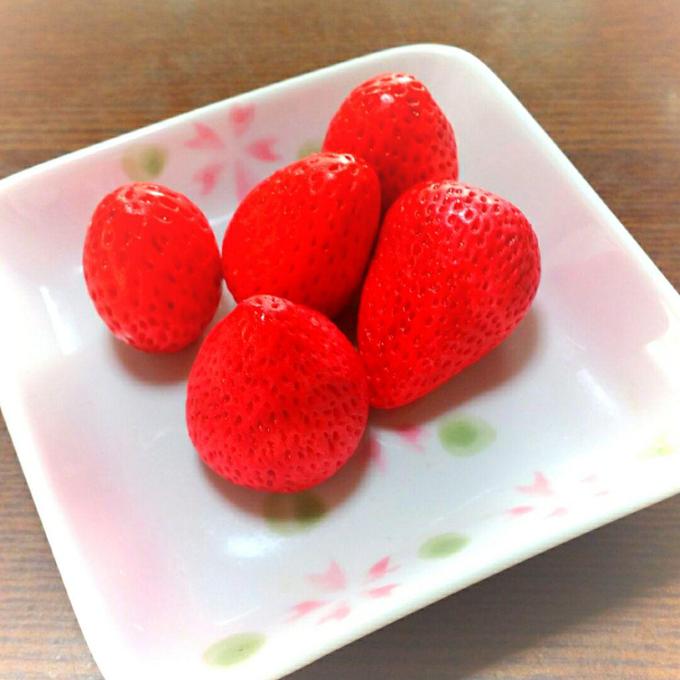 食品サンプル いちご５個セット 実物大 - KAORARDEN'S GALLERY | minne