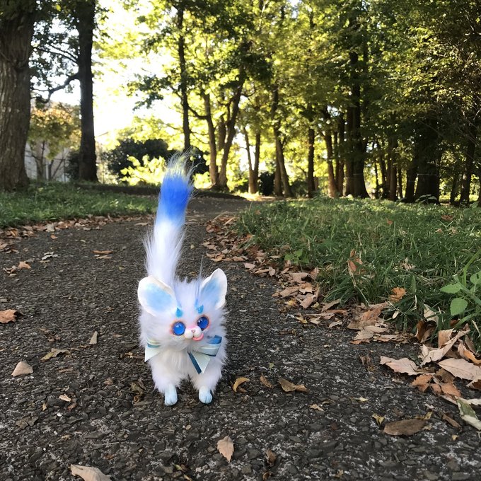 コーフル 春告幻獣 のいちごちゃん | southbayplanning.com