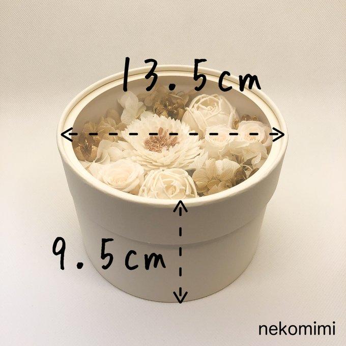 作品画像5枚目