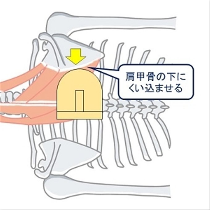 作品画像3枚目