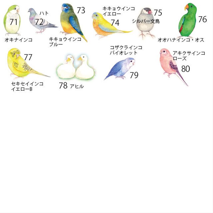 作品画像7枚目