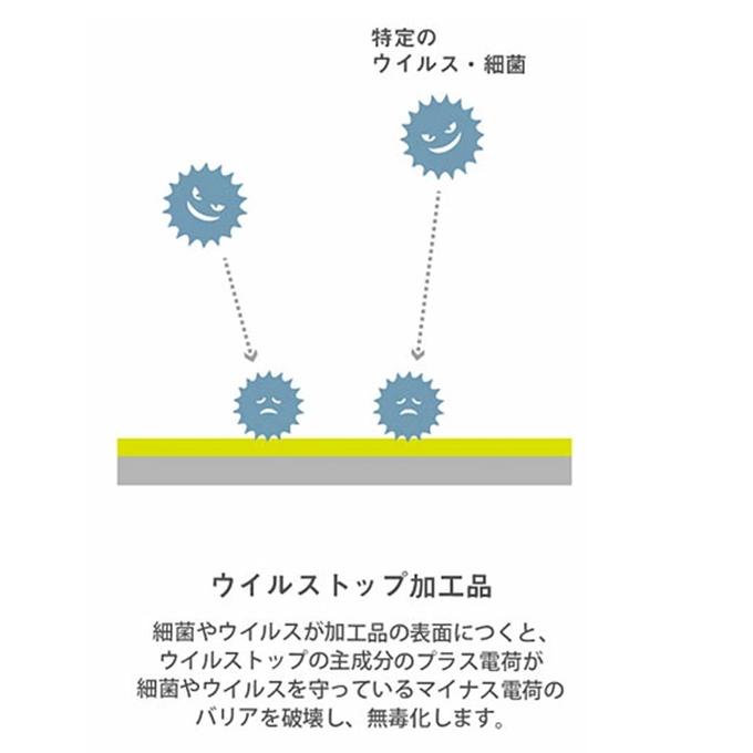 作品画像14枚目