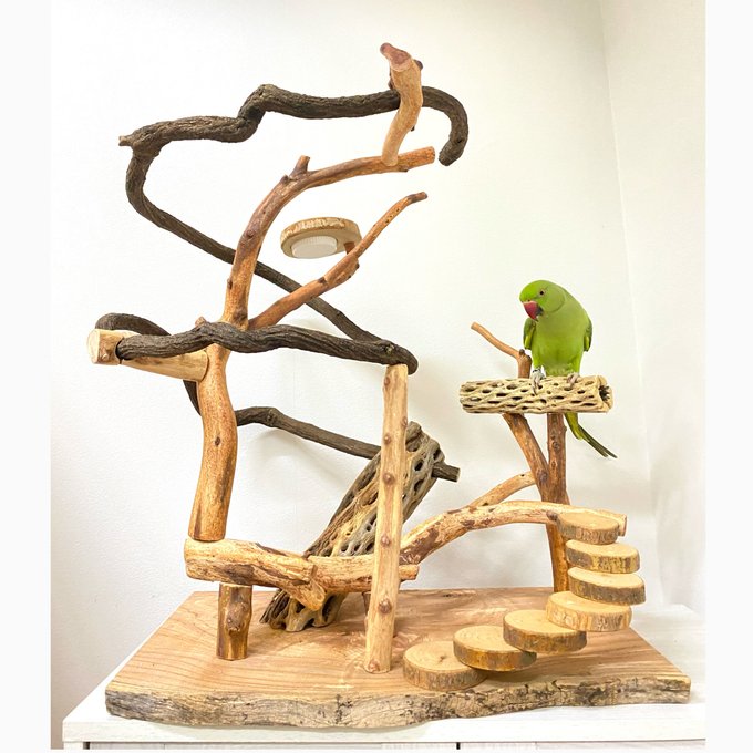 展示用】自然木(ツタ)のぐるぐるバードアスレチック - 鳥豆堂 展示用】自然木(ツタ)のぐるぐるバードアスレチック - 鳥豆堂