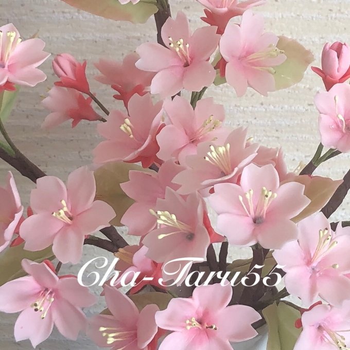 クレイフラワー さくら 桜 - Cha-taru55 GALLERY | minne 国内 クレイフラワー さくら 桜 - Cha-taru55 GALLERY | minne 国内
