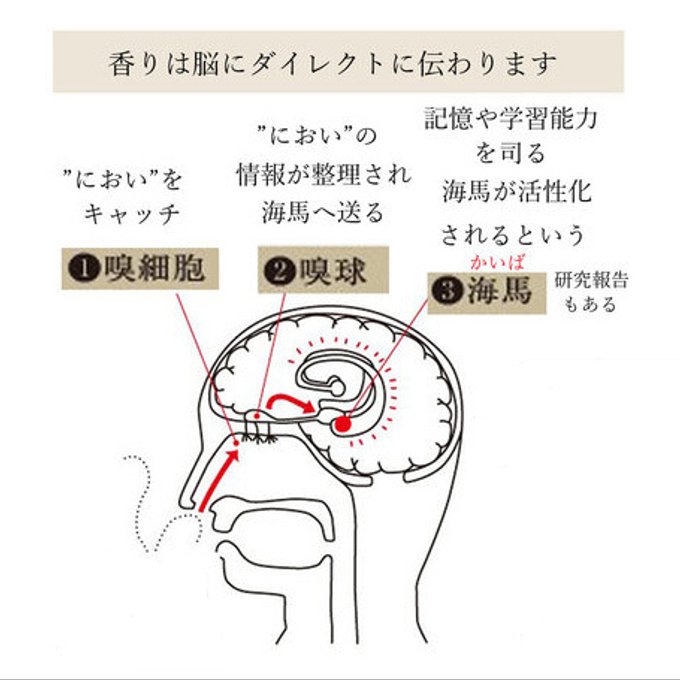 作品画像8枚目