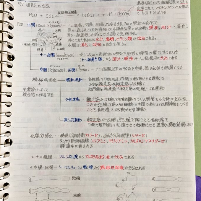 看護師、准看護師国家試験、看護学科定期試験対策シリーズ【解剖 看護師、准看護師国家試験、看護学科定期試験対策シリーズ【解剖
