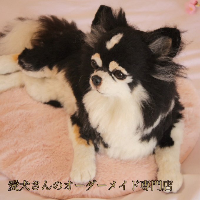うちの子オーダー】リアル 愛犬さんのオーダー 羊毛フェルト うちの子オーダー】リアル 愛犬さんのオーダー 羊毛フェルト