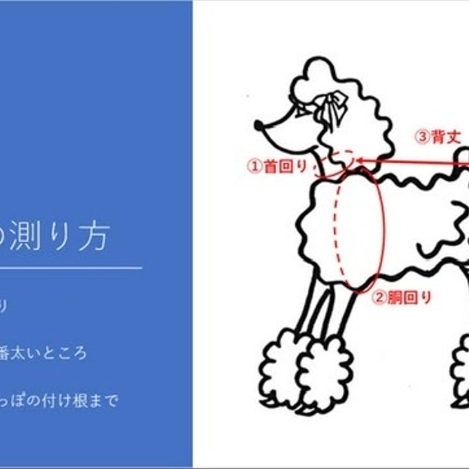 作品画像16枚目