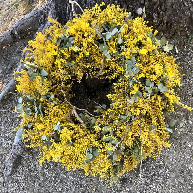 ミモザユーカリリース - naturalflowers | minne 国内最大級の ミモザユーカリリース - naturalflowers | minne 国内最大級の