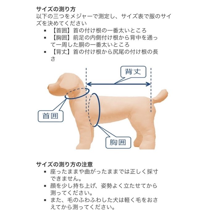 作品画像2枚目