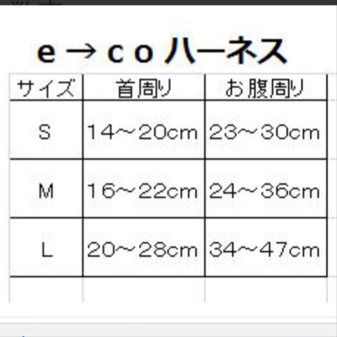 作品画像3枚目