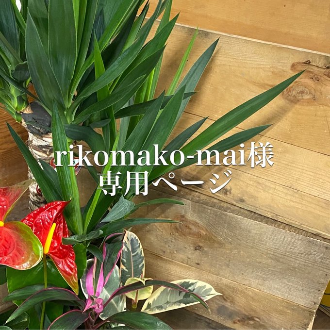 rikomako-mai様専用ページ - Sakura handmade accessory | minne 国内