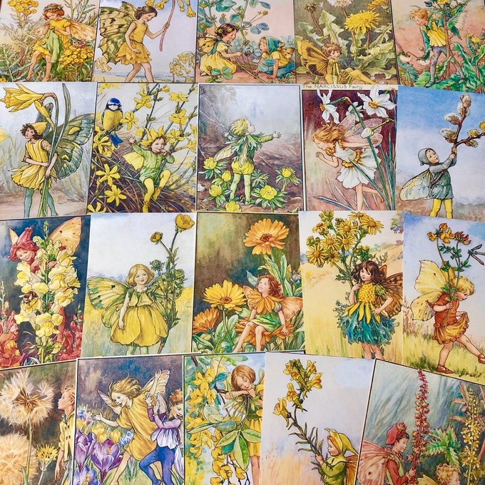 再販×1)フラワーフェアリーズ(yellow)🧚♀️ポストカードセット 再販×1)フラワーフェアリーズ(yellow)🧚♀️ポストカードセット