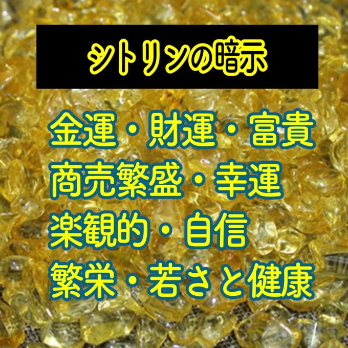 最強 MO-383 蛇の抜け殻 お守り さしかかり 白蛇 最強 MO-383 蛇の抜け殻 お守り さしかかり 白蛇