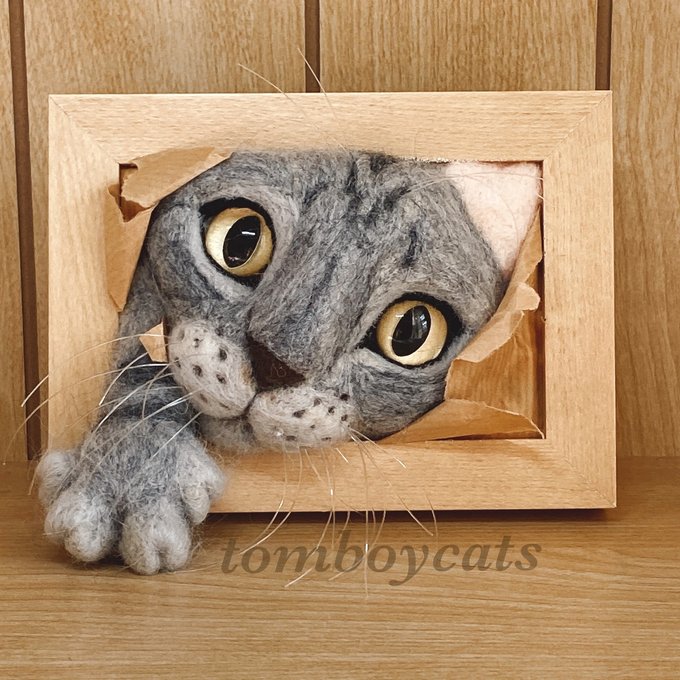 うちの子額縁 羊毛フェルト 猫 オーダーメイド - tomboycats うちの子額縁 羊毛フェルト 猫 オーダーメイド - tomboycats
