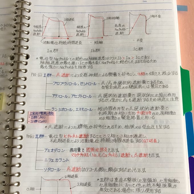 作品画像8枚目