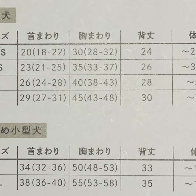 作品画像10枚目