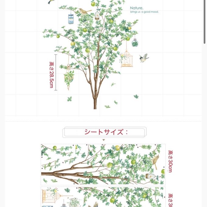 作品画像7枚目