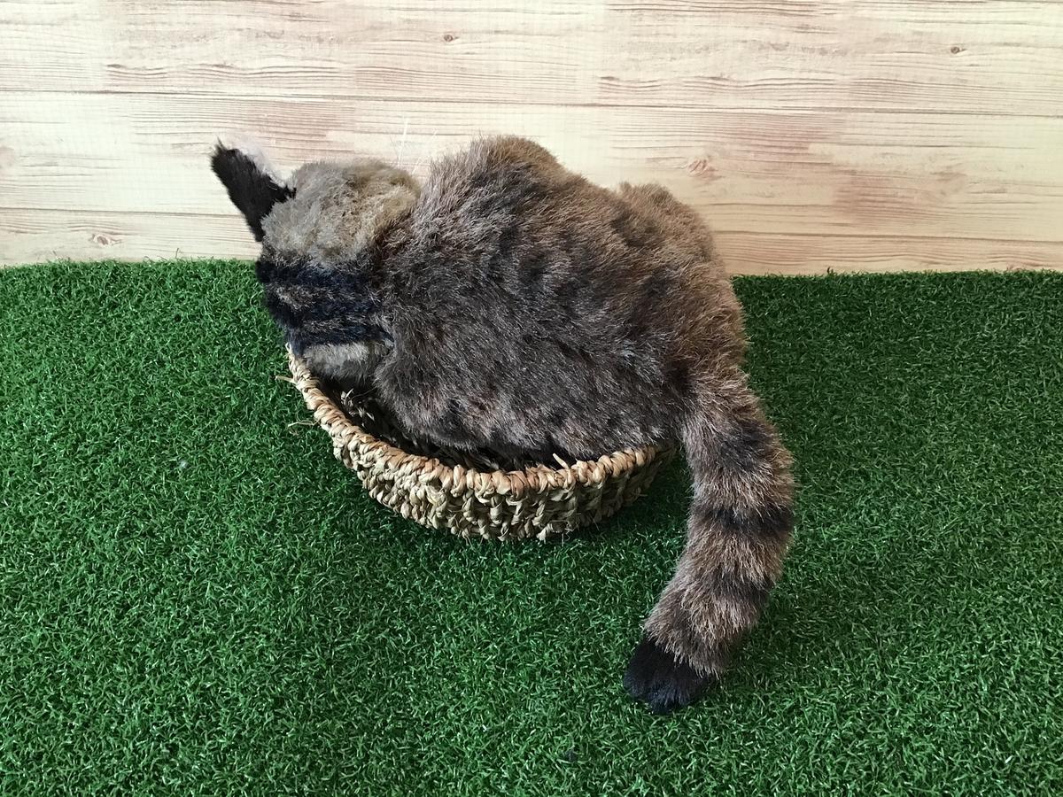 〈オーダーメイド〉キジトラ猫成猫のふわふわ縫いぐるみ 10