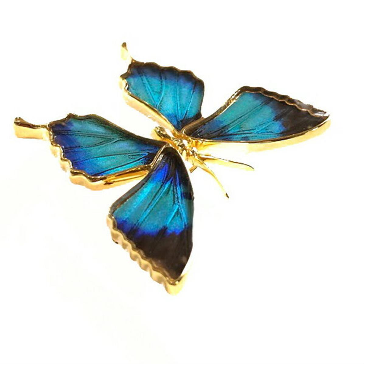 本物の蝶の羽 蝶ブローチ兼ペンダント ドクソコパチェルビナ [zps025g-gr]