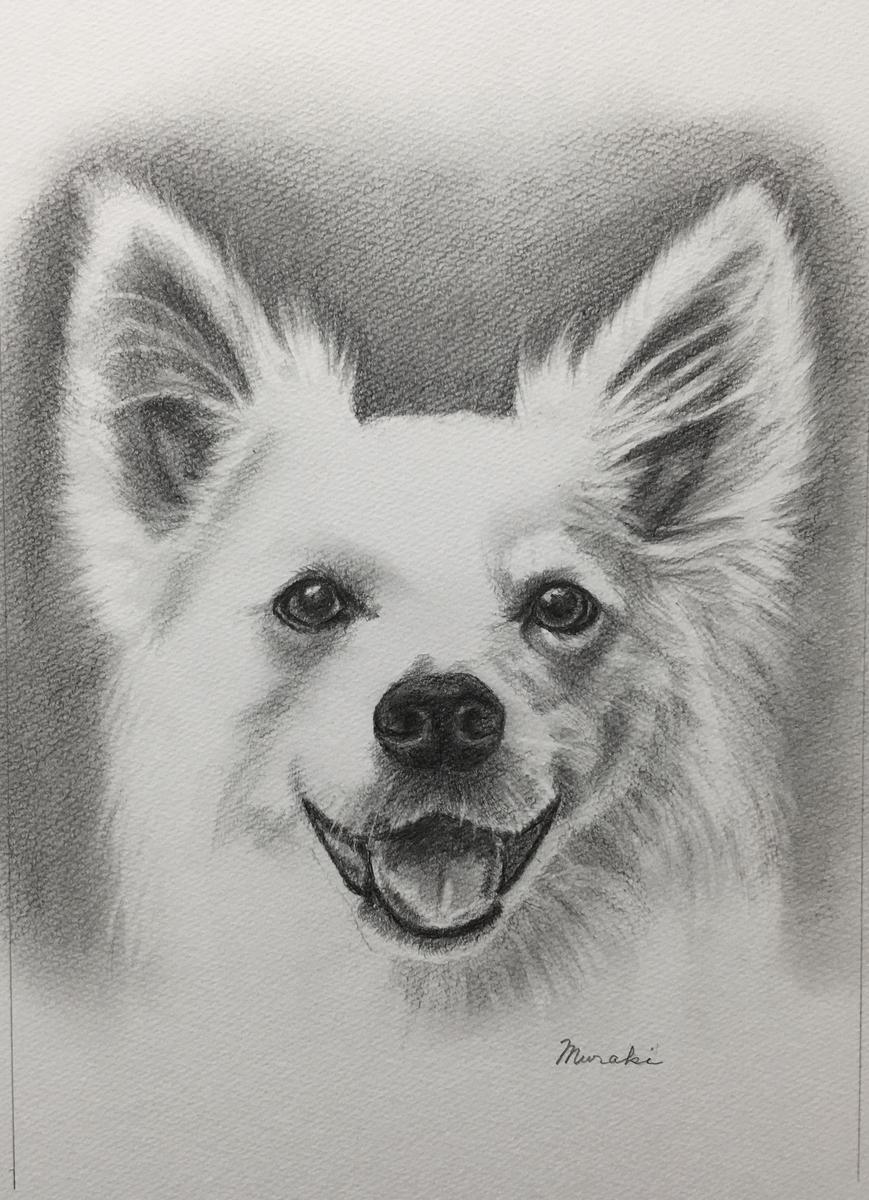 犬の絵 鉛筆画「笑顔のわんこ」