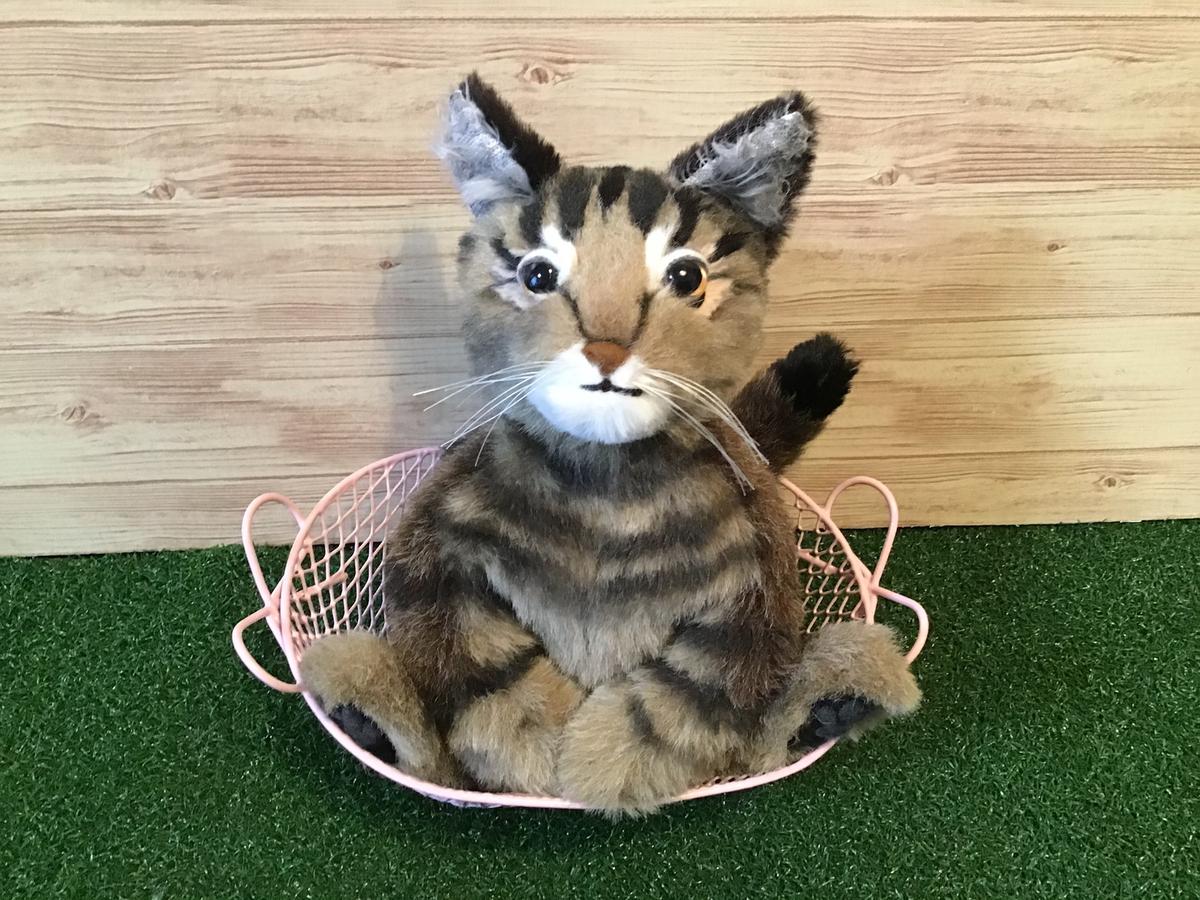 〈オーダーメイド〉キジトラ猫成猫のふわふわ縫いぐるみ 9