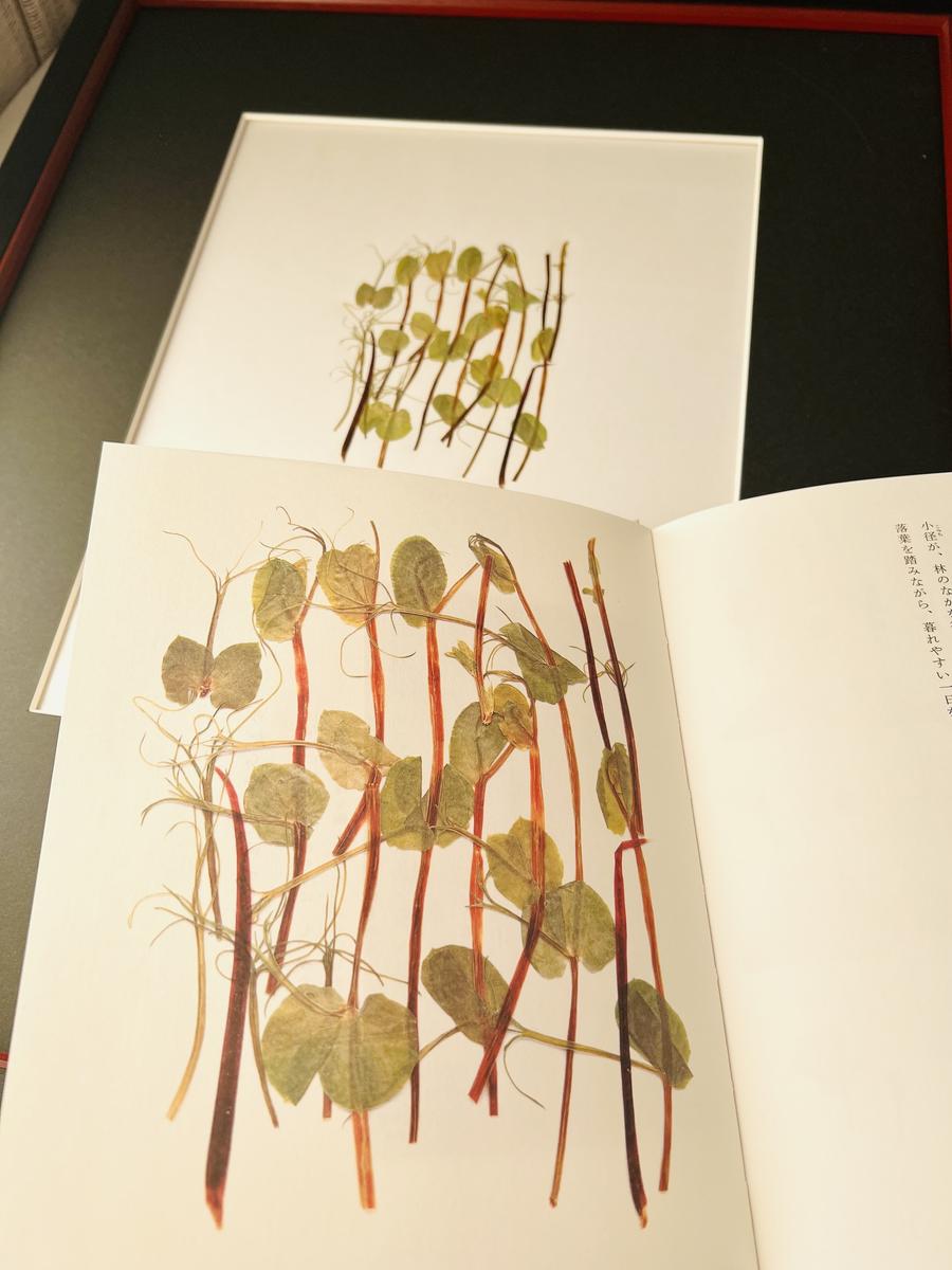 今だけの限定プライス 押し花 額 花と言葉の詩画集 立原道造 ポプラ社刊 田園詩 挿絵 新しい季節 Kingscages Com 今だけの限定プライス 押し花 額 花と言葉の詩画集 立原道造 ポプラ社刊 田園詩 挿絵 新しい季節 Kingscages Com