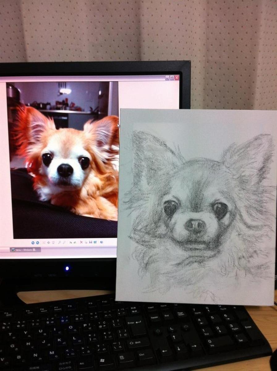 ひでぽん様オーダー 色鉛筆画 動物 ペット 犬 似顔絵 肖像画 イラスト 