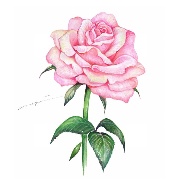 薔薇 イラストのハンドメイド 手作り通販 Minne 日本最大級の 薔薇 イラストのハンドメイド 手作り通販 Minne 日本最大級の