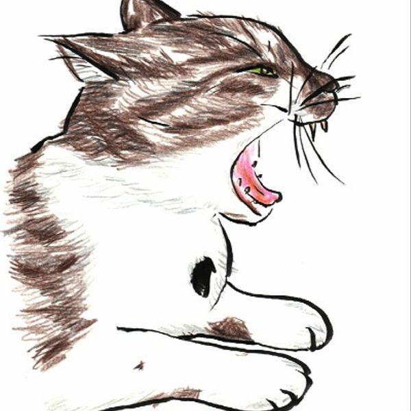 綺麗な猫 イラスト 横顔 無料イラスト集 綺麗な猫 イラスト 横顔 無料イラスト集