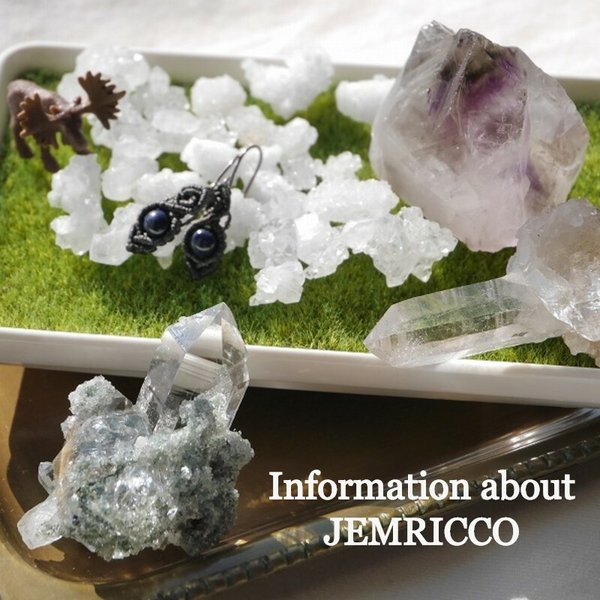 【ご利用案内】★重要★ご注文前にご確認頂くページ　JEMRICCO