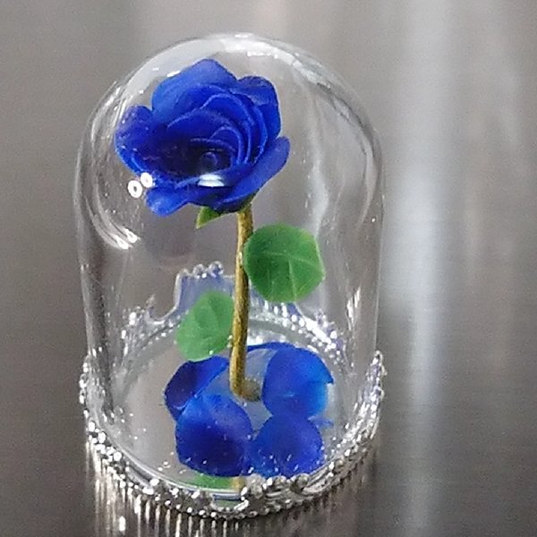 🌹ガラスドームの薔薇🌹青