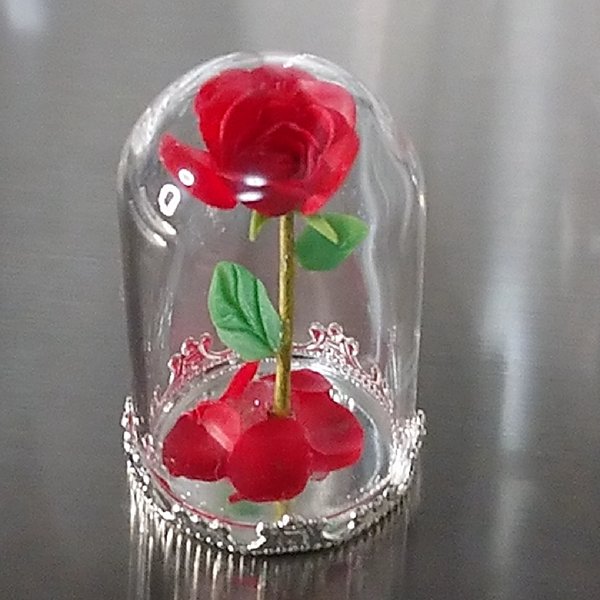 🌹ガラスドームの薔薇🌹赤