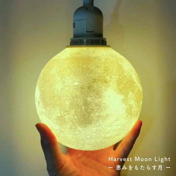 【先行販売!】Harvest Moon Pendant Light - 恵みをもたらす月 -｜月ライト(大+)【数量限定セット/5th Year Anniversary♪】