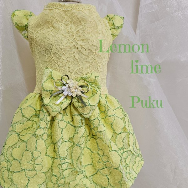 Lemon lime ワンピース（オーダー）