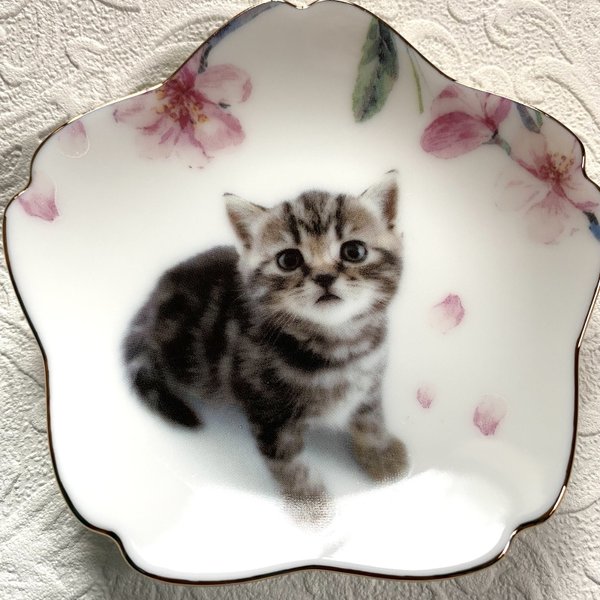 猫と桜の小皿・その1