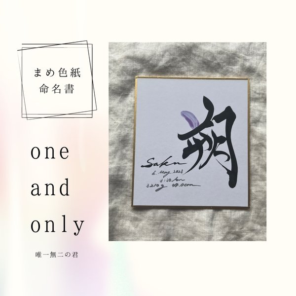 書道家が書く　手のひらサイズ命名書 「one and  only 唯一無二の君」　選べるcolor 送料無料