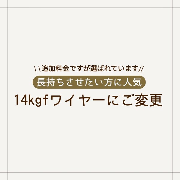 【ワイヤー変更】14kgfワイヤーに変更できるページ