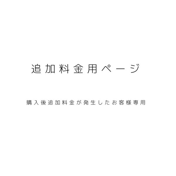 追加料金　お支払い