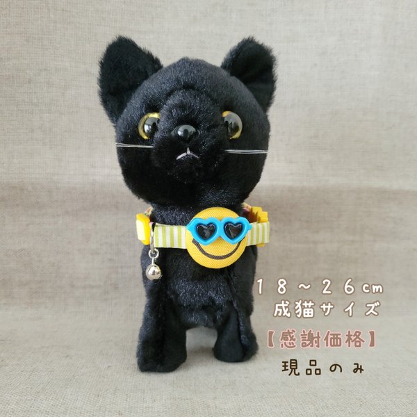 【感謝価格】猫の首輪✧︎(🕶)🖤