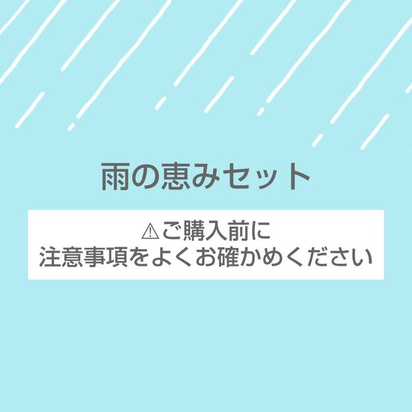 【4/3 8時～12時販売】雨の恵みセット